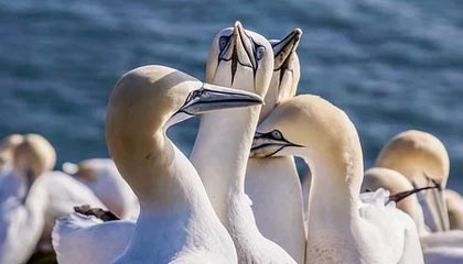 商竣程晋级香港网球公开赛第二轮