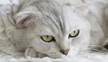 商竣程晋级香港网球公开赛第二轮