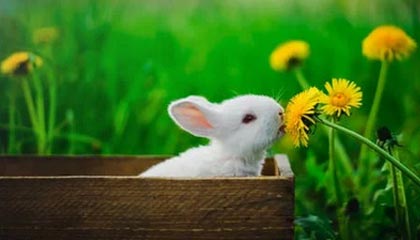 商竣程晋级香港网球公开赛第二轮